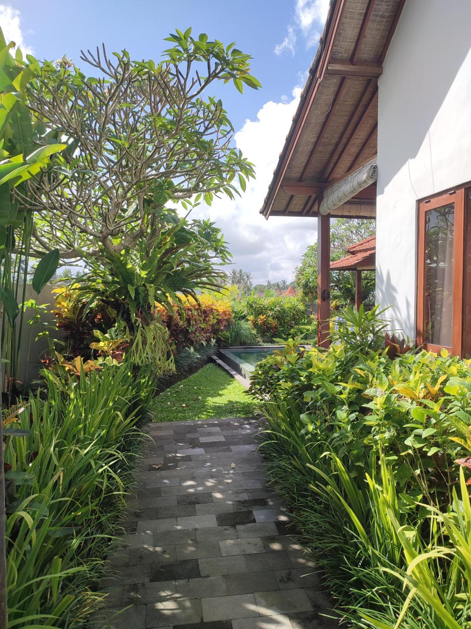 Villa Maya Ubud, Peaceful Rice Field View Exterior foto